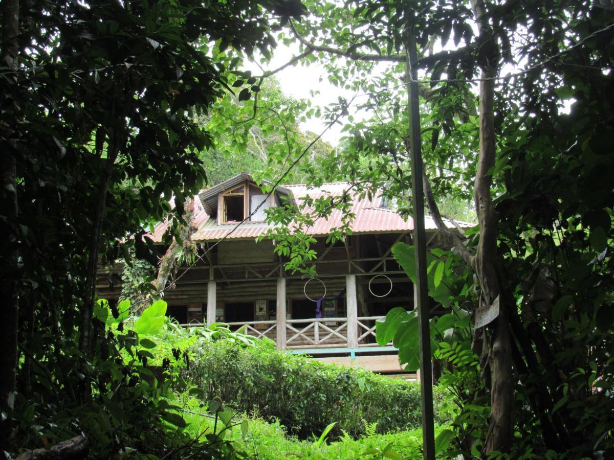Centro Ecológico Montaña Verde Rivas Exterior foto