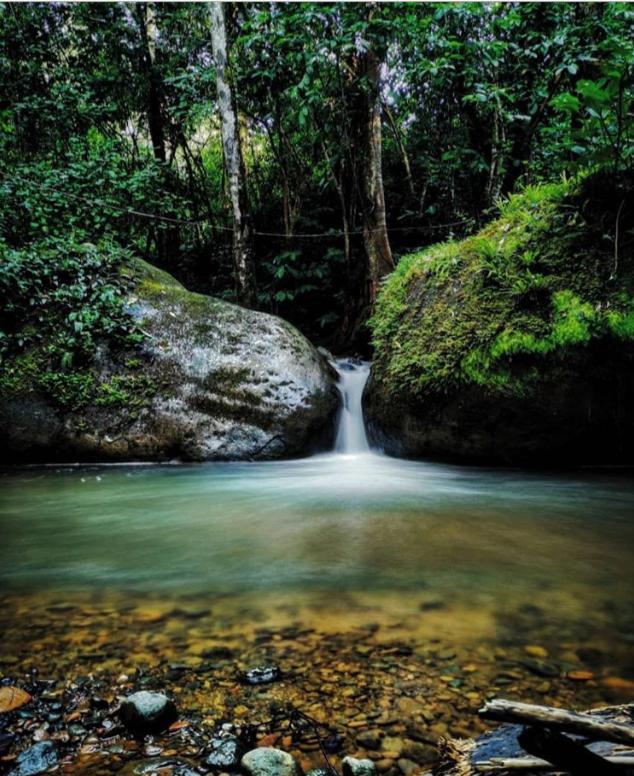 Centro Ecológico Montaña Verde Rivas Exterior foto